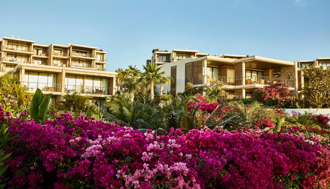 Exclusive Houses in Chileno Bay